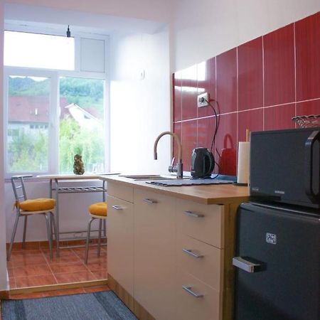 Vlad'S Downtown Apartment Petrila Ngoại thất bức ảnh