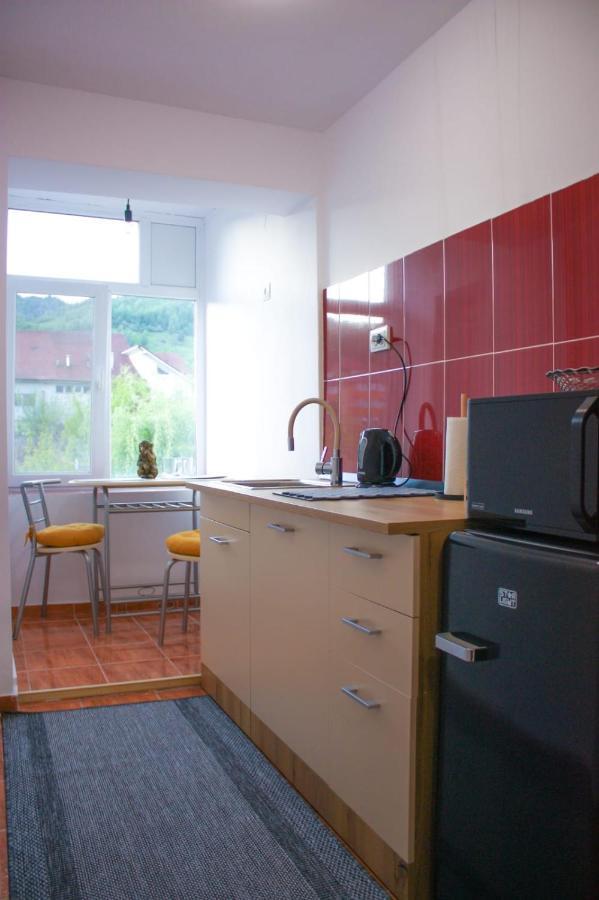 Vlad'S Downtown Apartment Petrila Ngoại thất bức ảnh